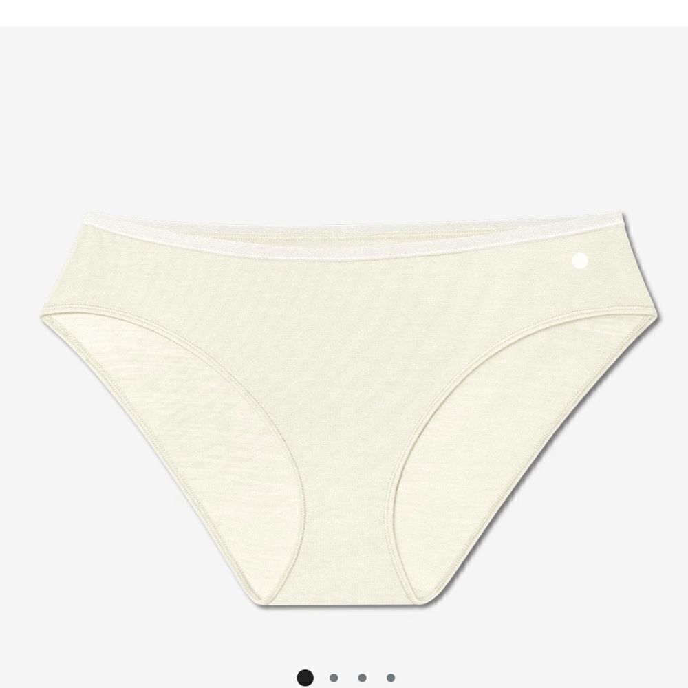 NIB All Birds Underwear Briefs